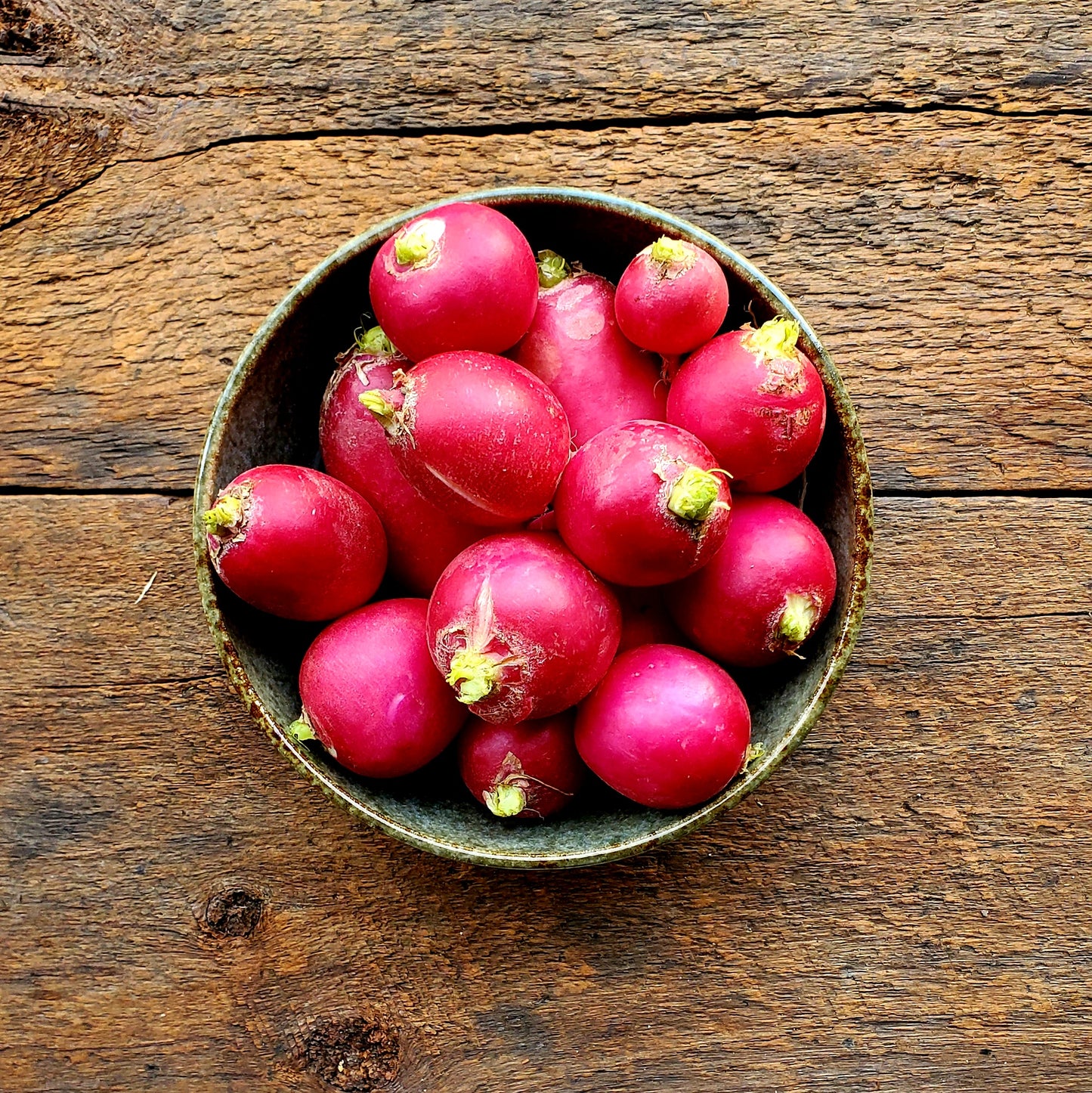 Sora Red Radishes with greens