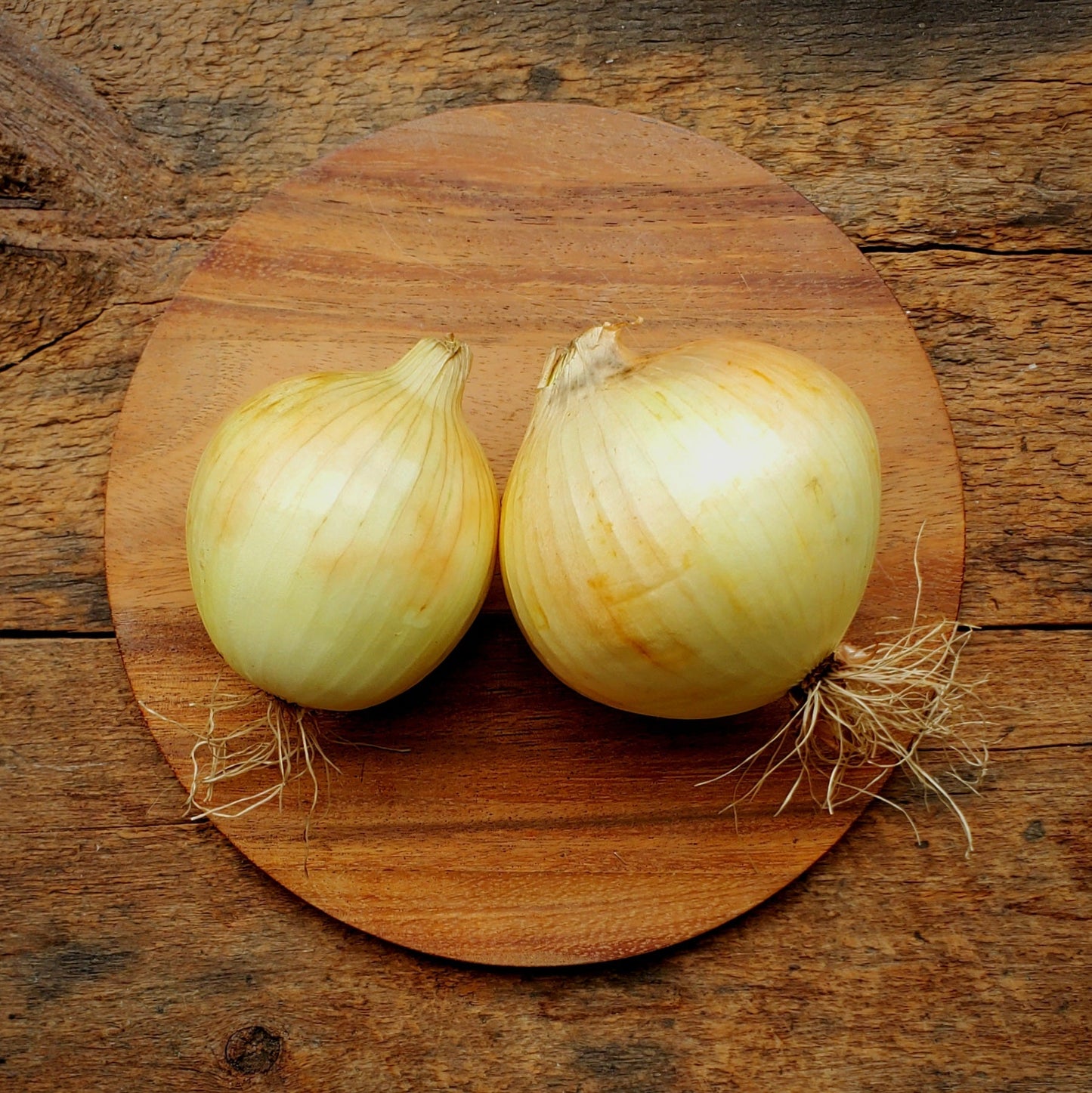 Walla Walla Onions