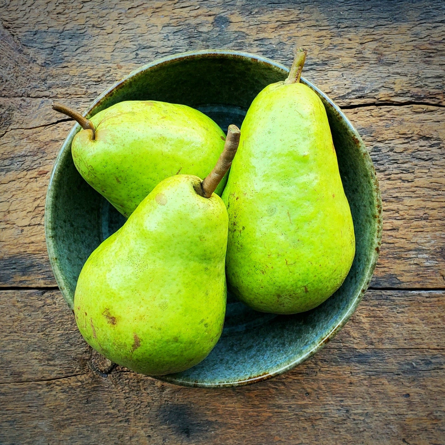 Bartlett Pears - 20 oz