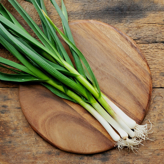 Green Garlic - bunch