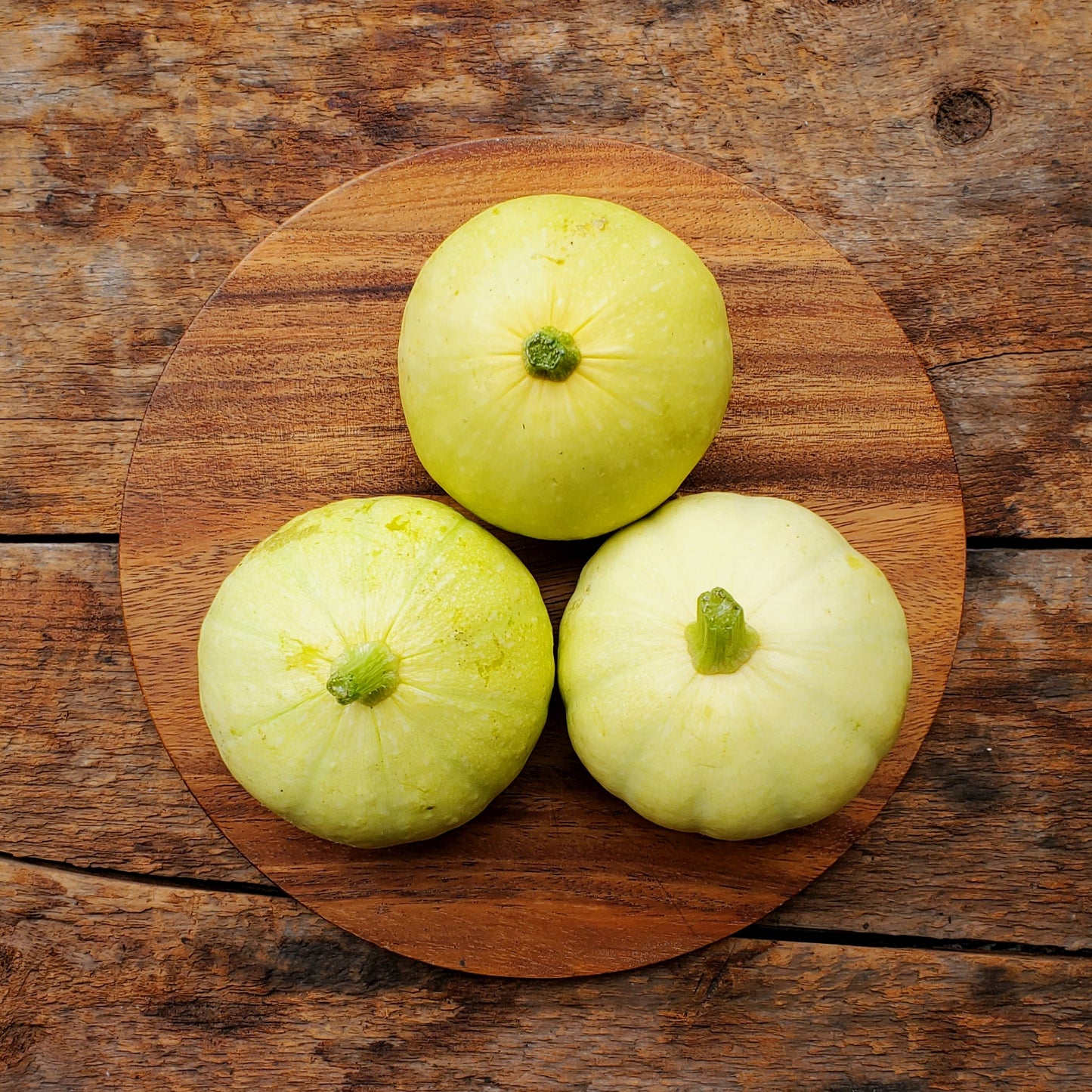 Desi Summer Squash