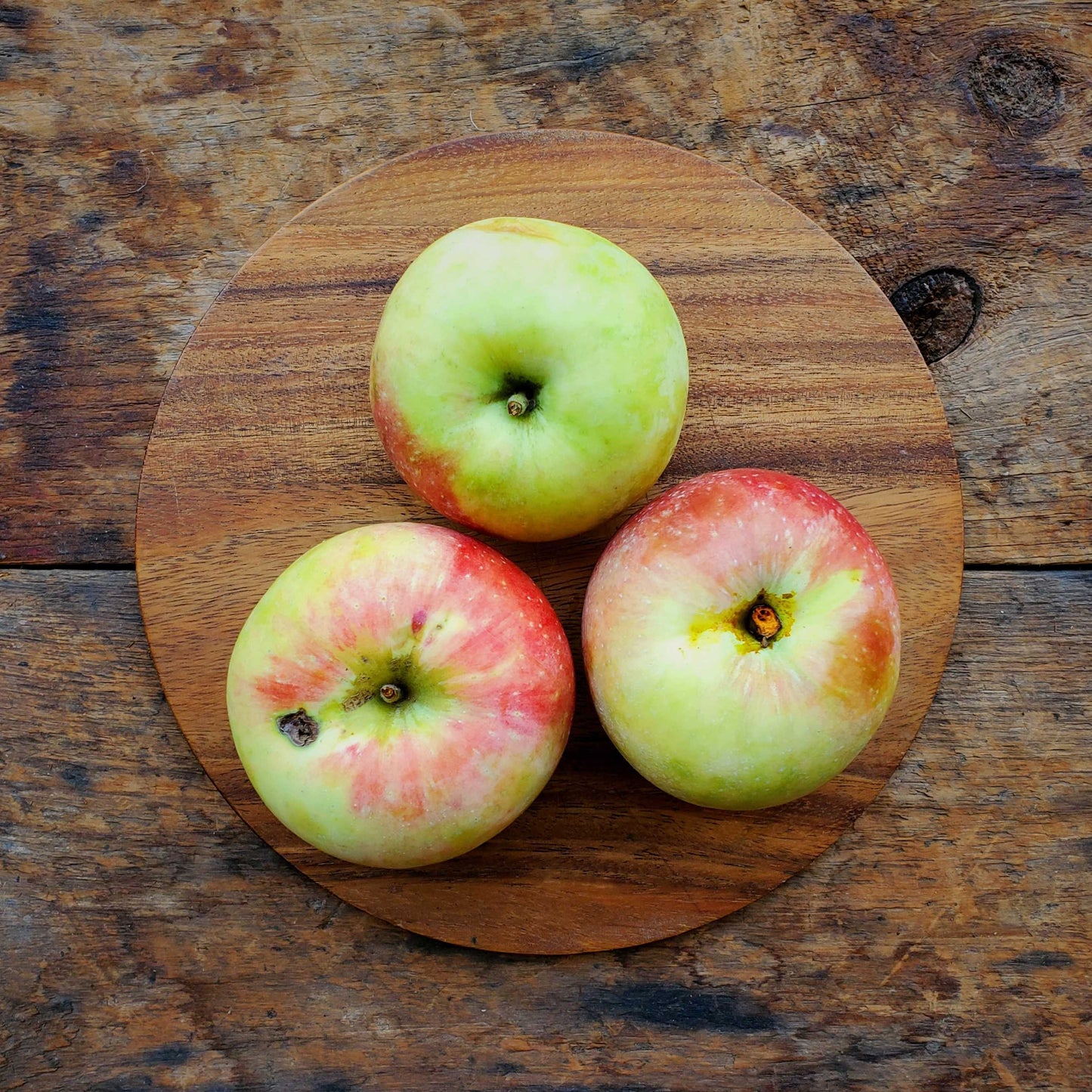 3 Zestar Apples - Seconds