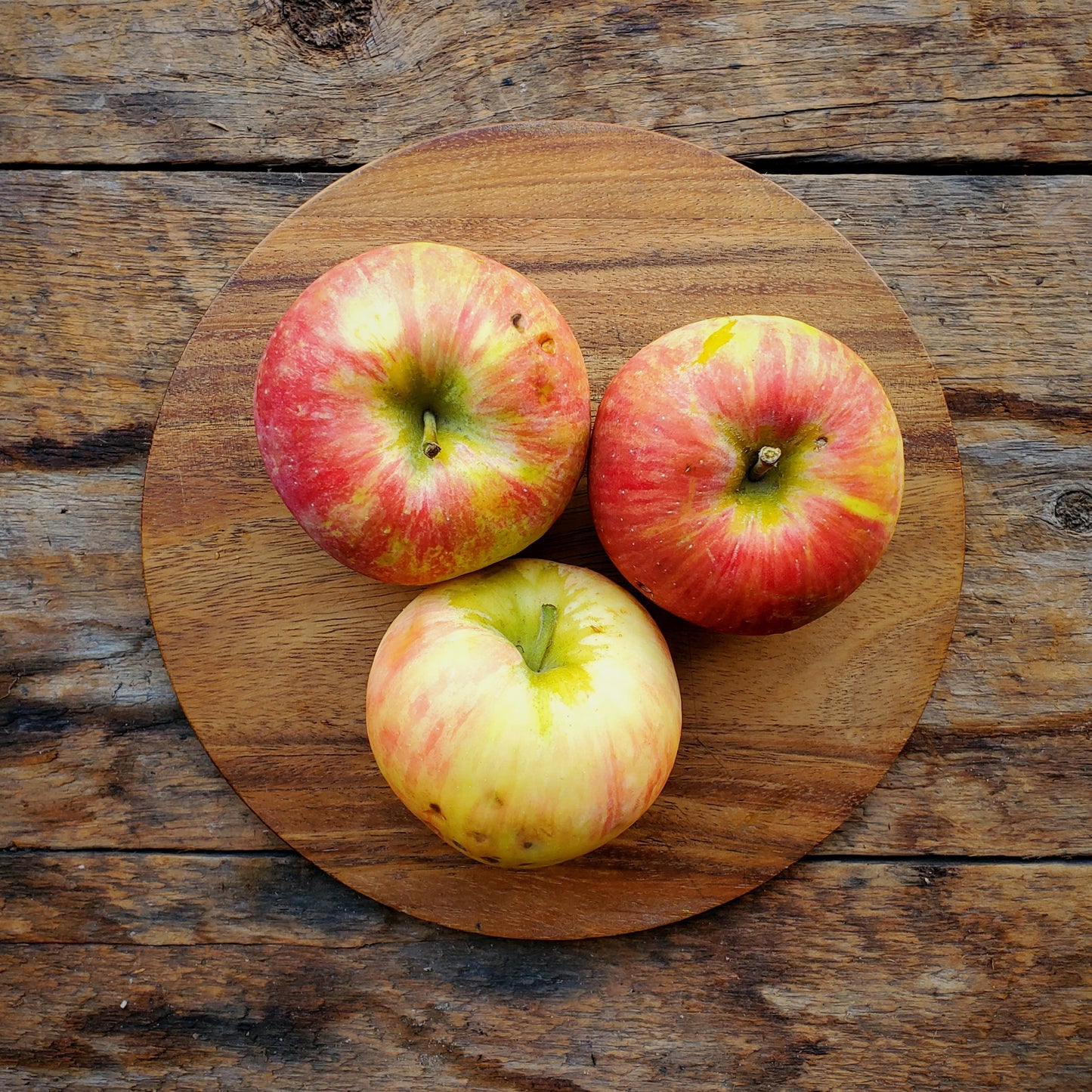 3 Honeycrisp Apple Seconds