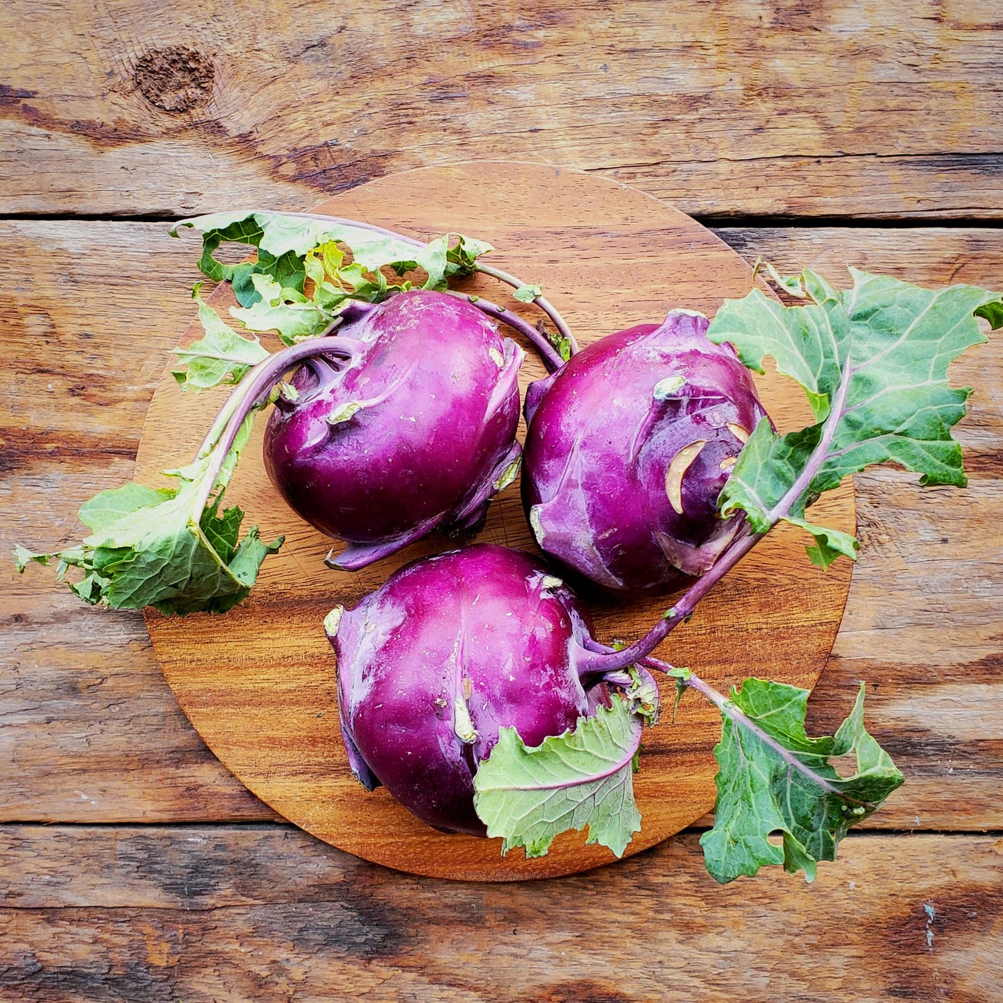 Mixed Kohlrabi - 14 oz