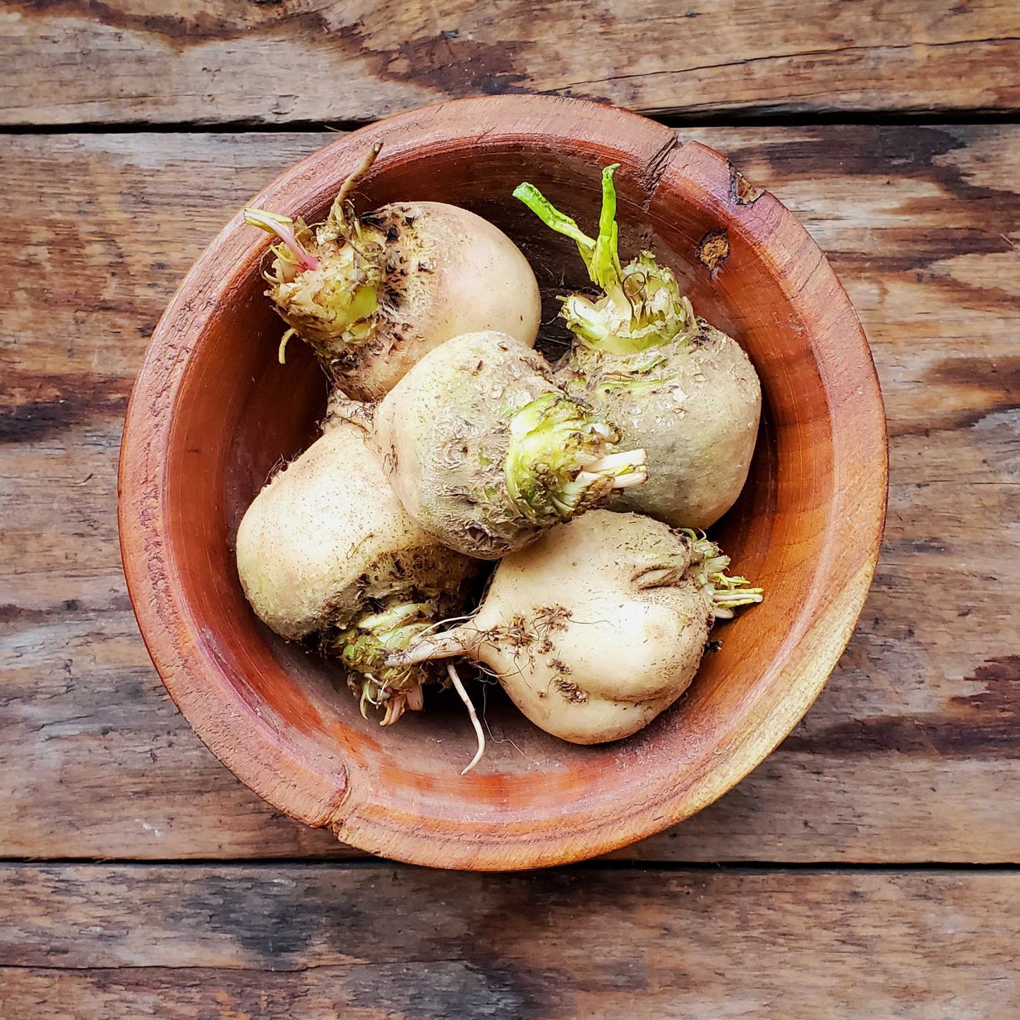 White beets-12 oz