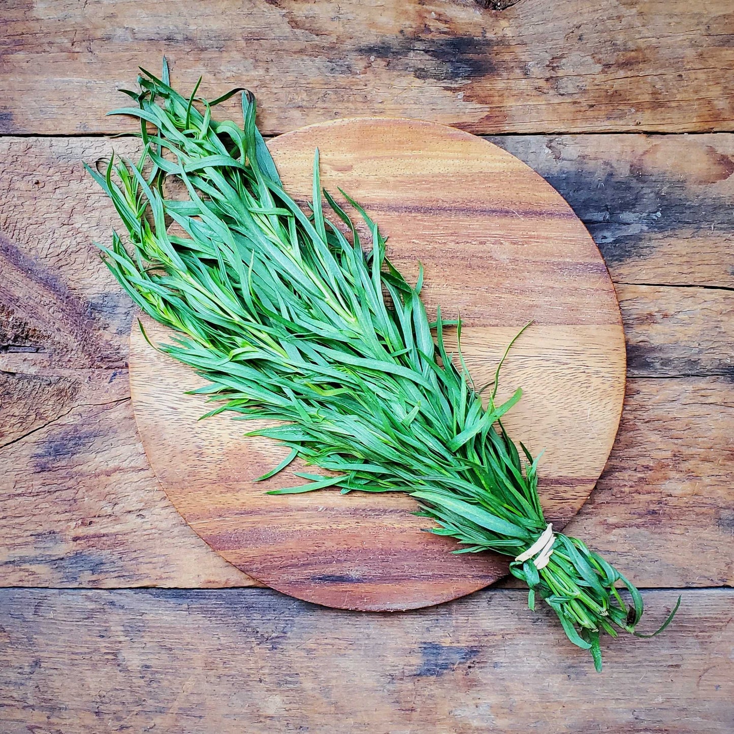Tarragon 1.0 oz