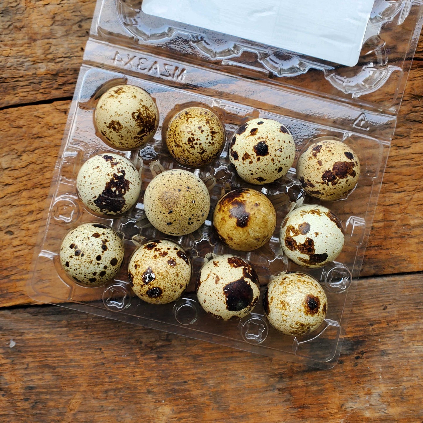 Quail Eggs - 1 dozen