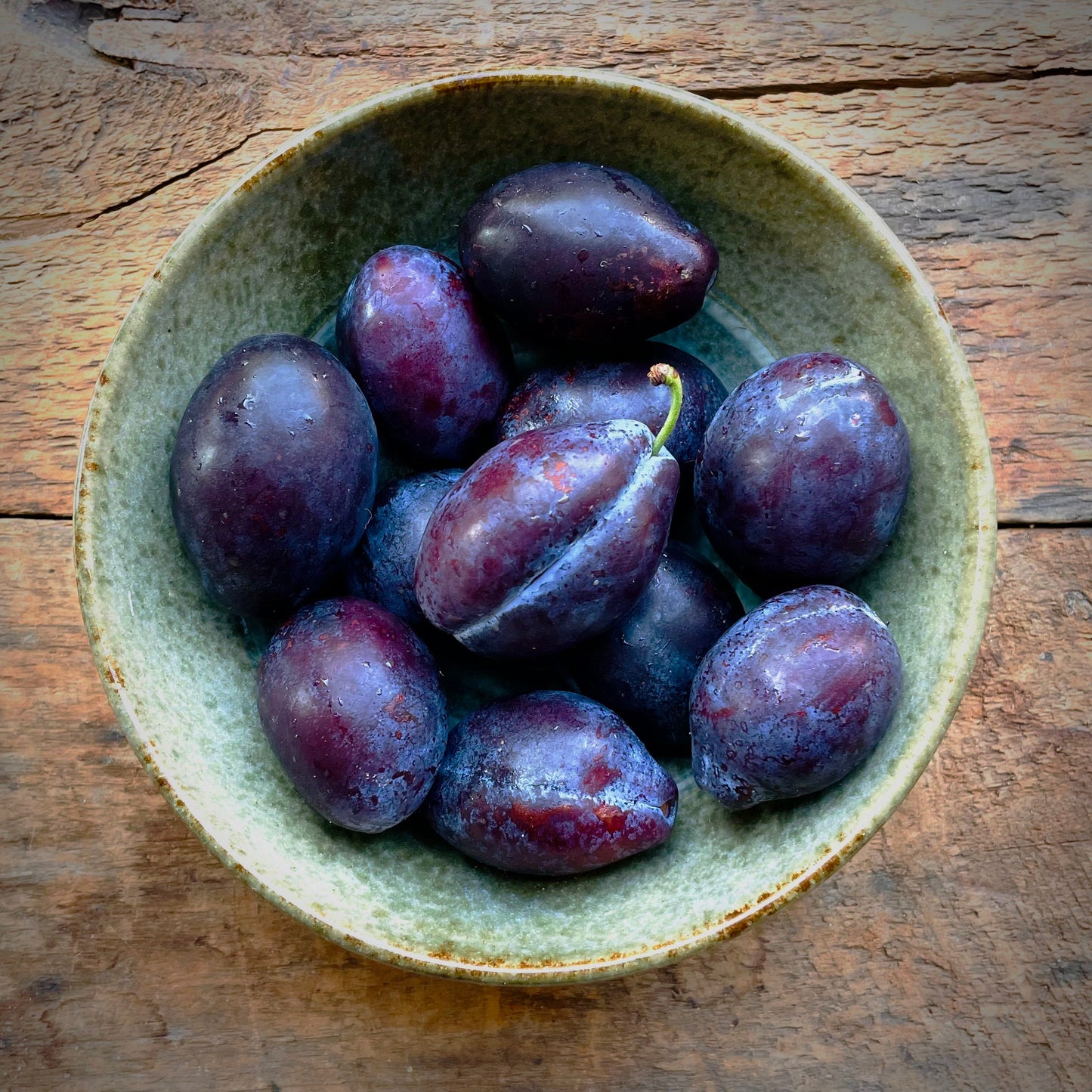 Ellis Plums - 16 oz