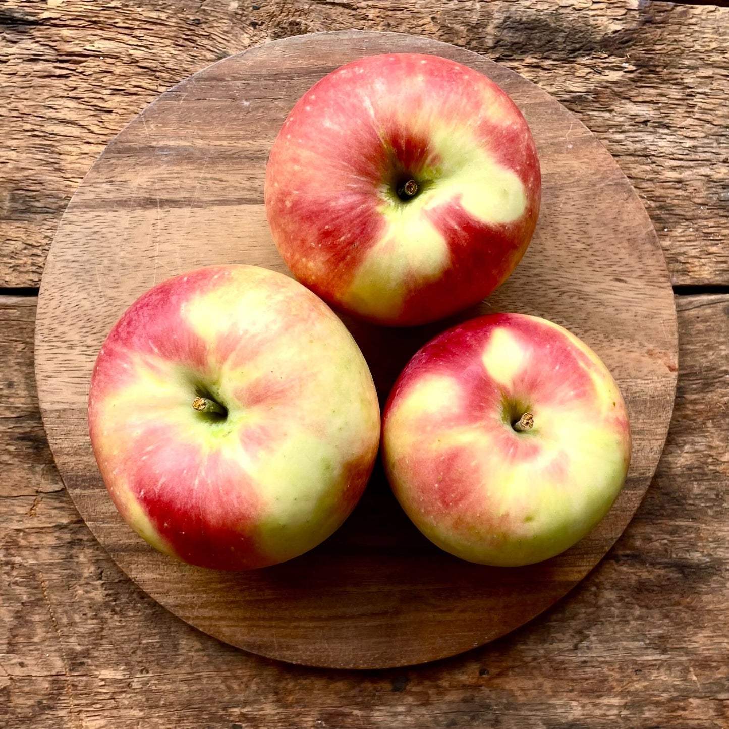 3 Zestar Apples - Seconds