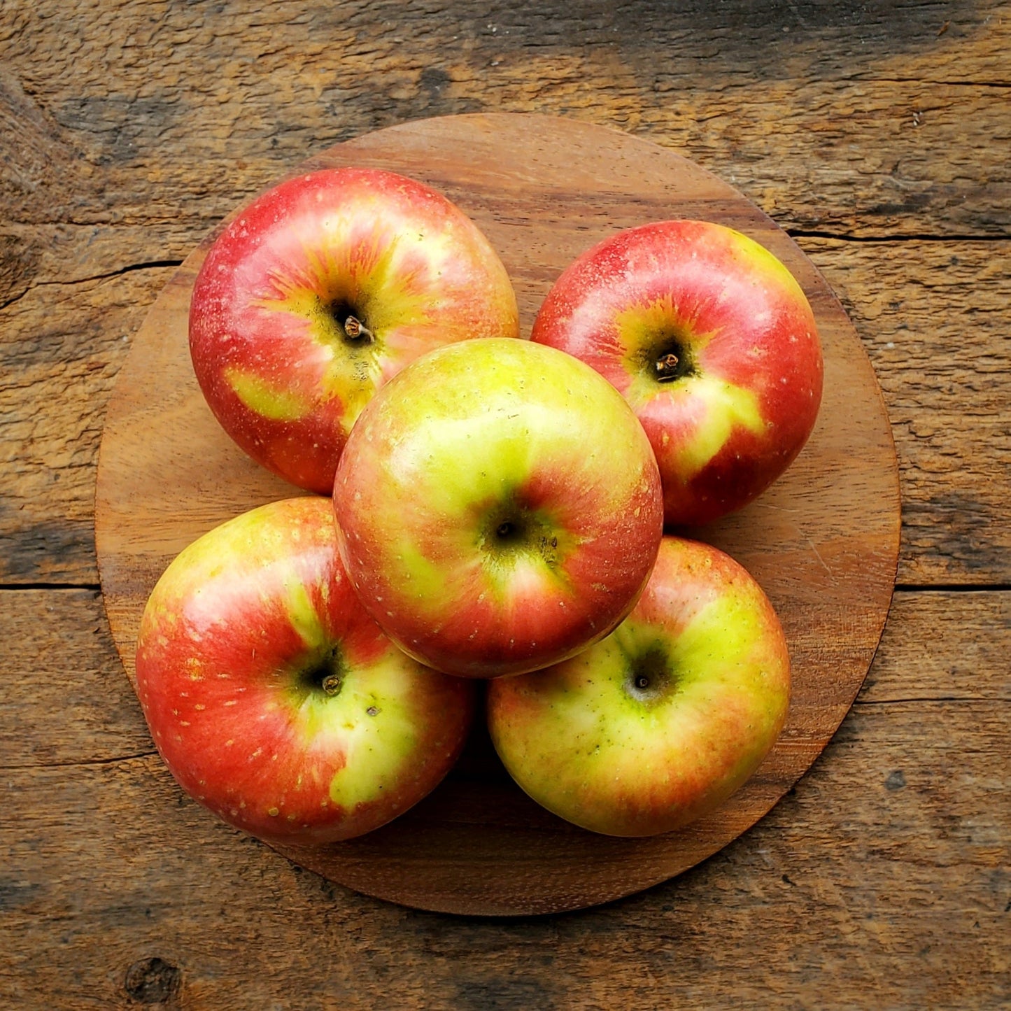 3 Zestar Apples - Seconds