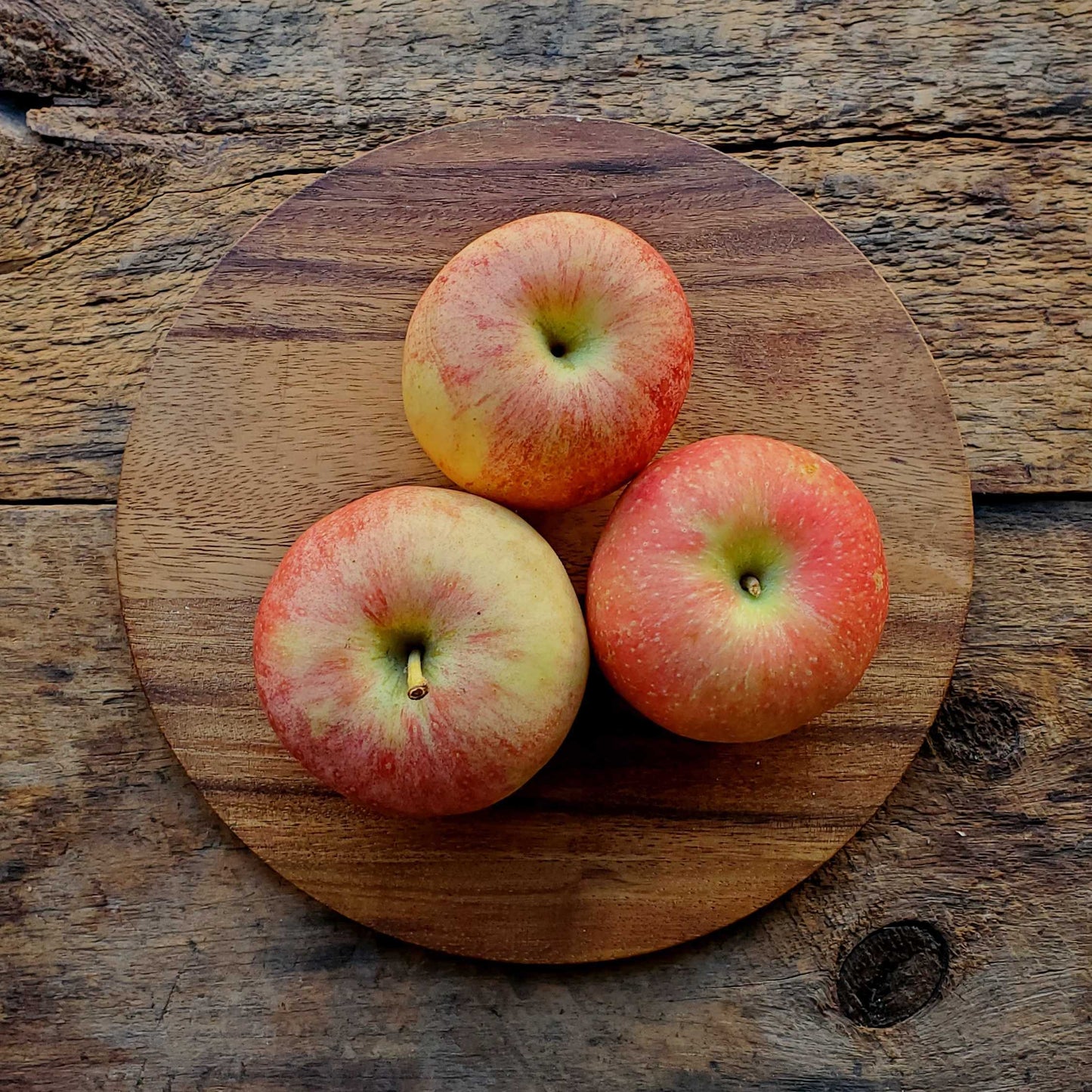 4 Gala Apples