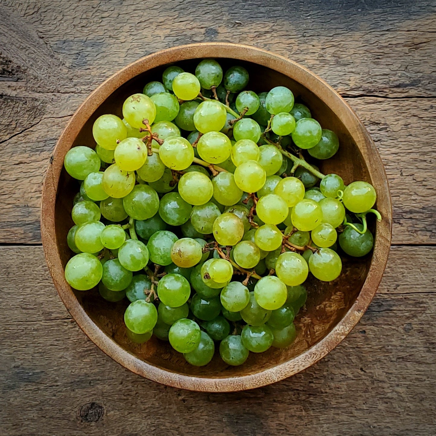 Marquis Grapes - 1.5 lbs