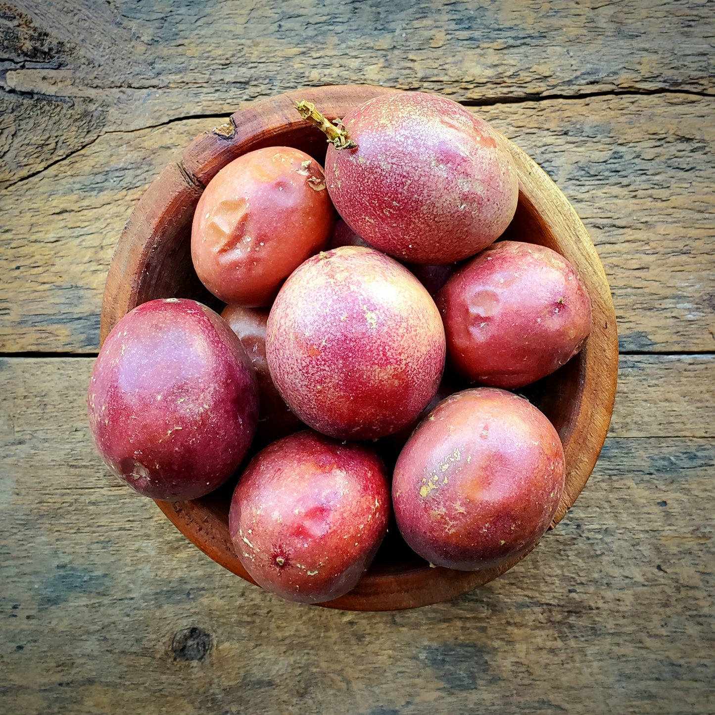 Passion Fruit - 8 oz