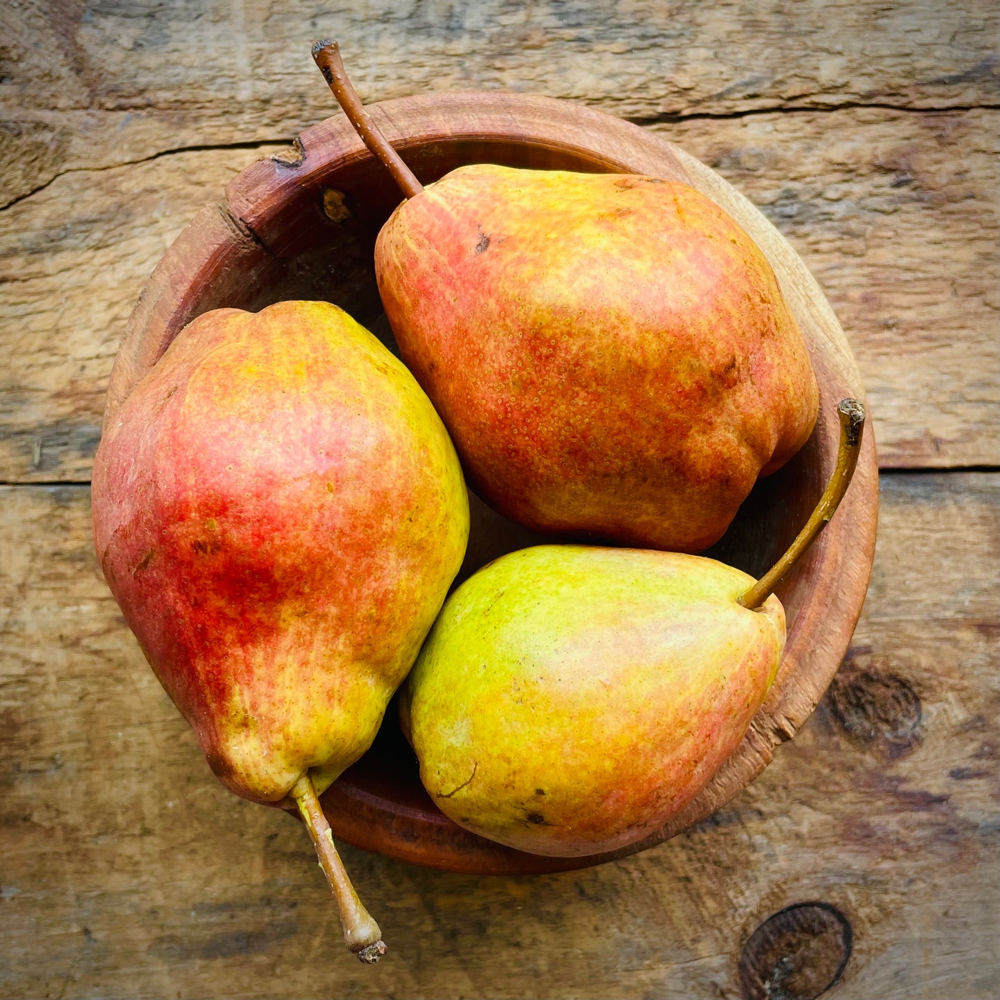 Bartlett Pears - 20 oz