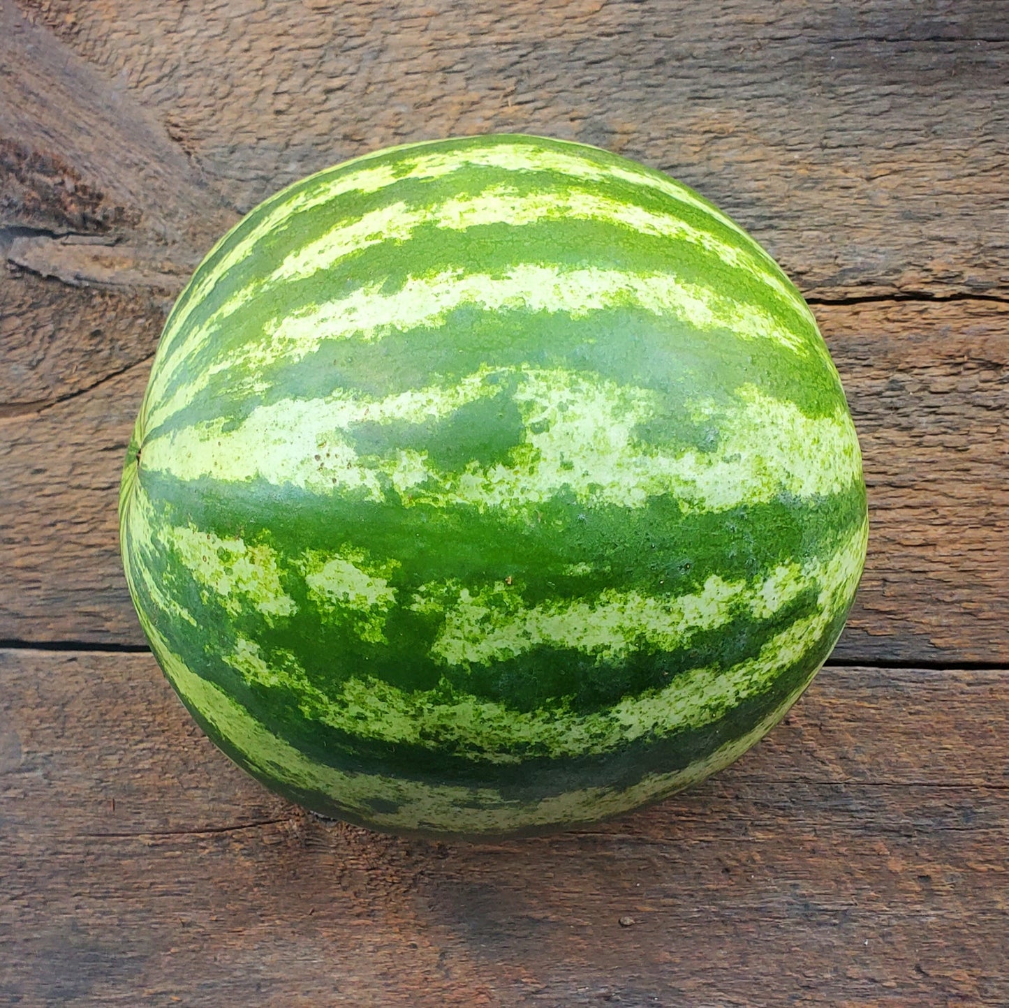 Large Red Watermelon - 10 lbs