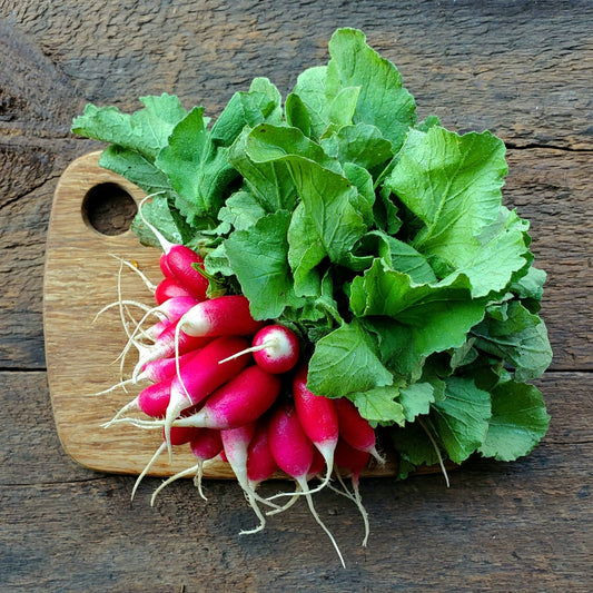 Fox At The Fork French Breakfast Radishes