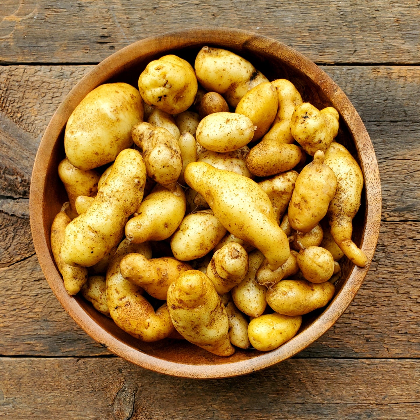 Austrian Crescent Fingerling Potatoes - 1 lb