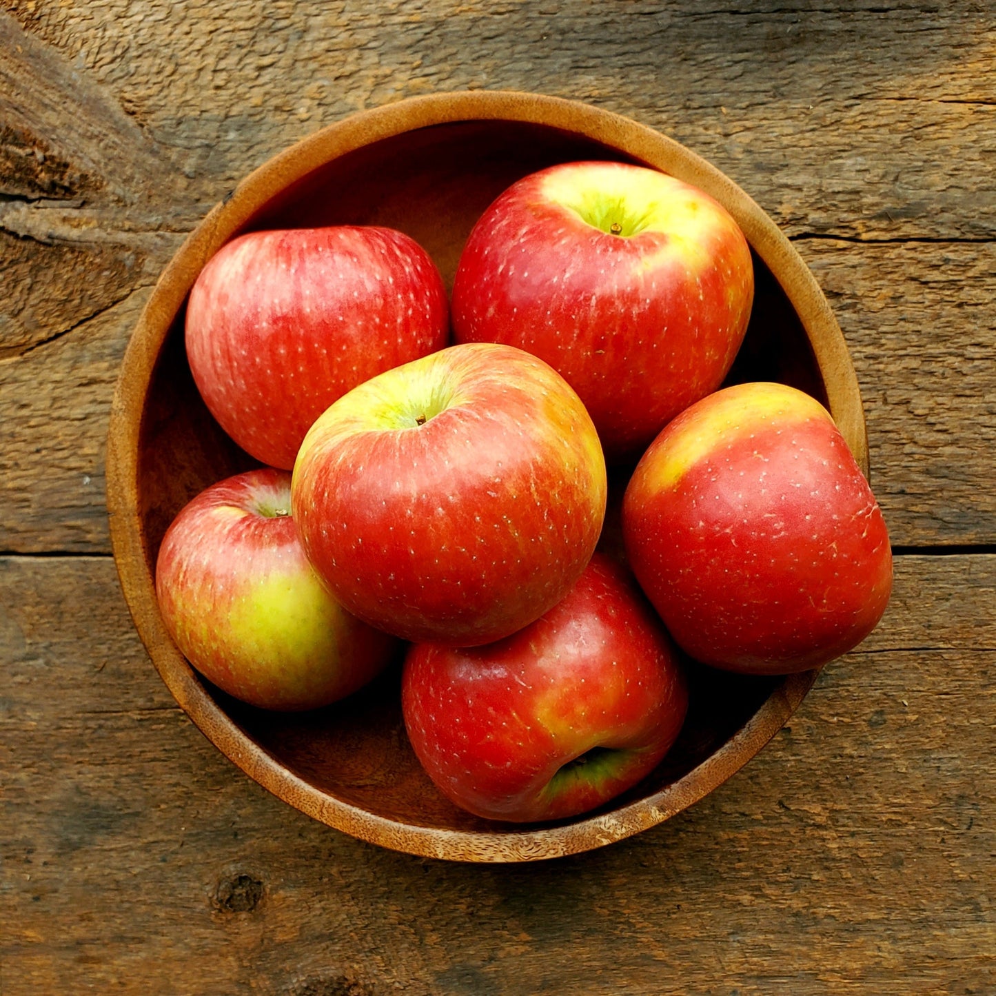 3 Honeycrisp Apple Seconds