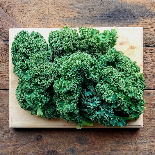 Baby Blue Scotch Curly Kale - 6 oz