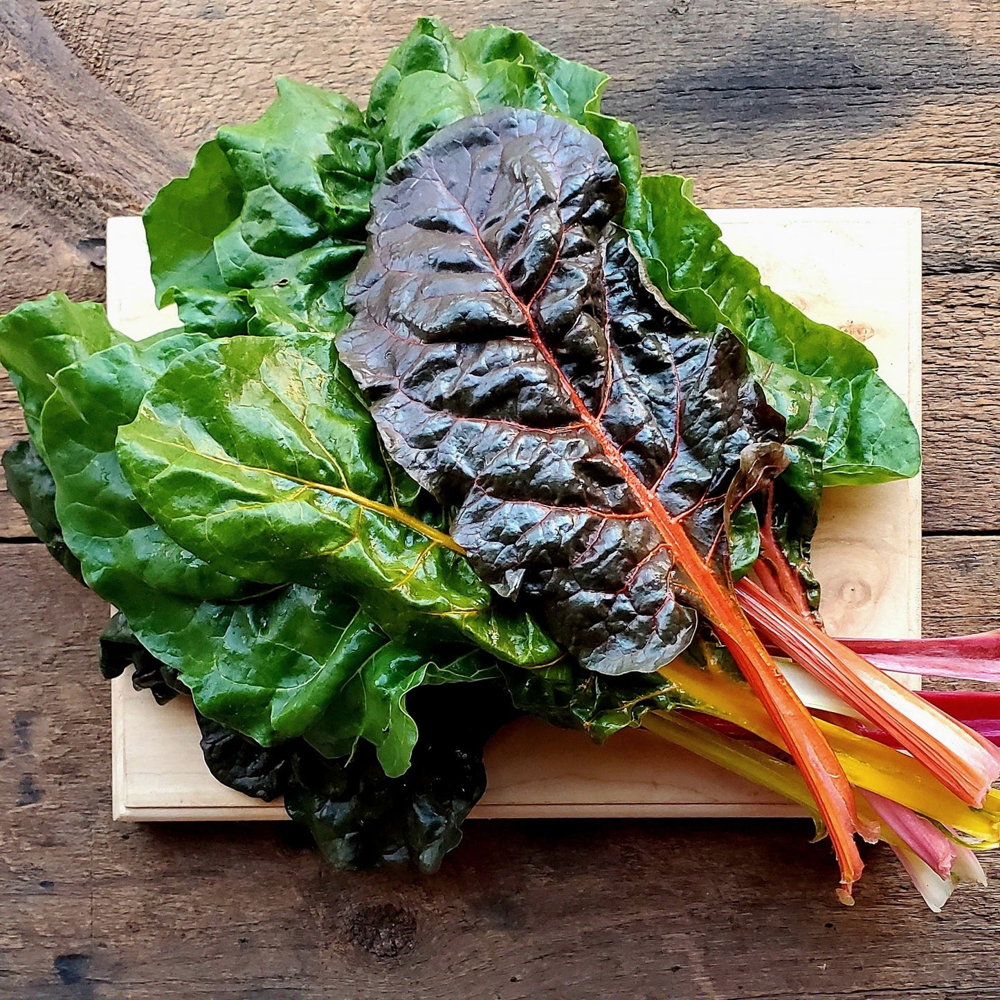 Rainbow Chard - 6 oz