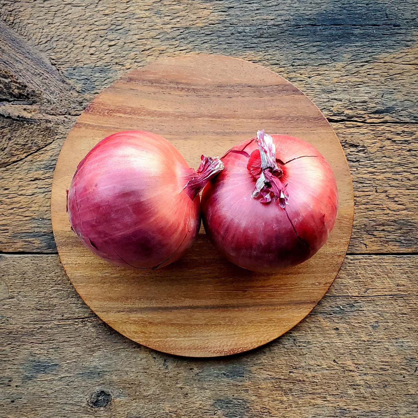 Cabernet Red Onions