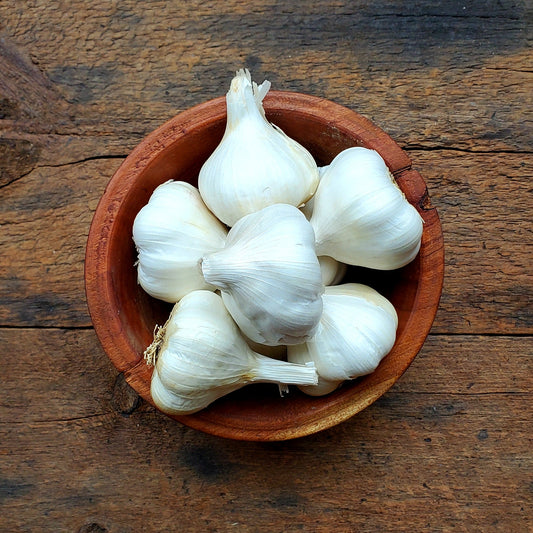 German White Garlic - 2 Heads