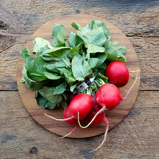 Sora Red Radishes with greens
