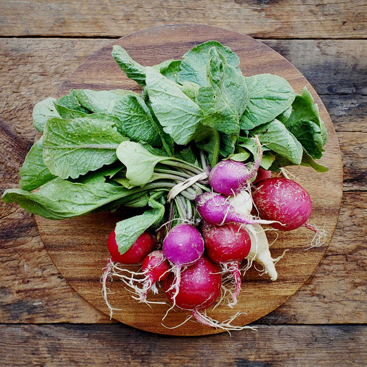 2 Cortland Apples – Village Farmstand