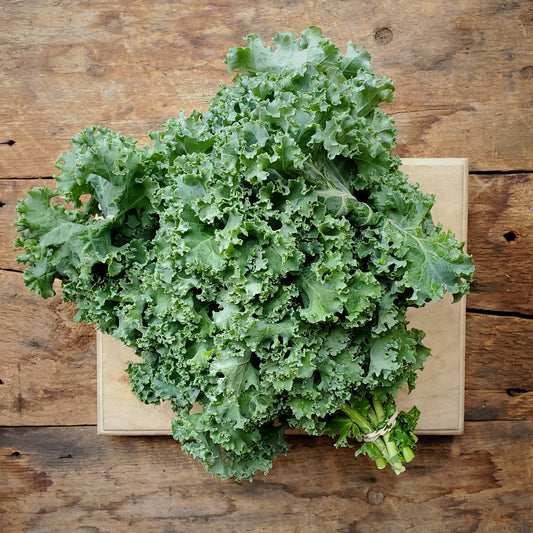 Fox at the Fork Curly Kale - 6 oz