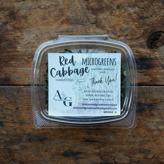 Red Cabbage Microgreens  - 2.5oz