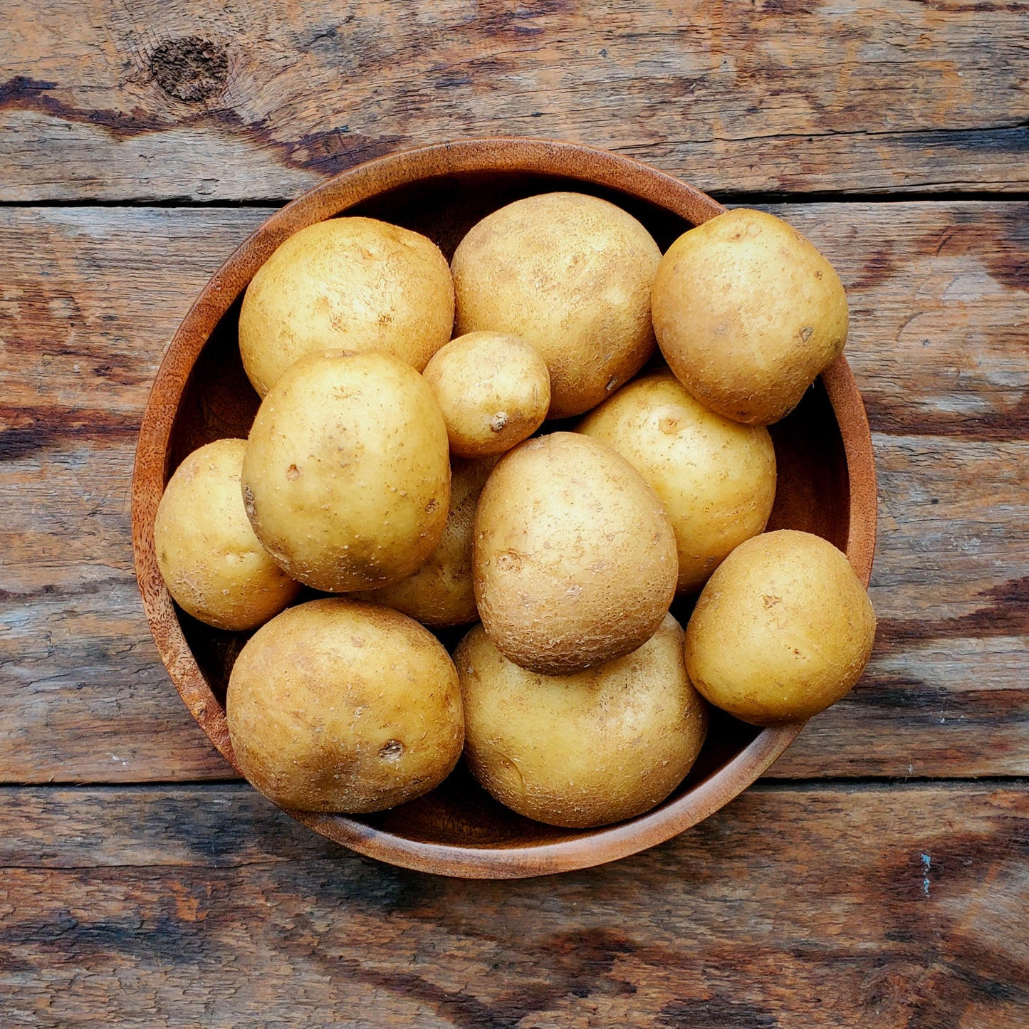 White Eva Potatoes - 2 lbs