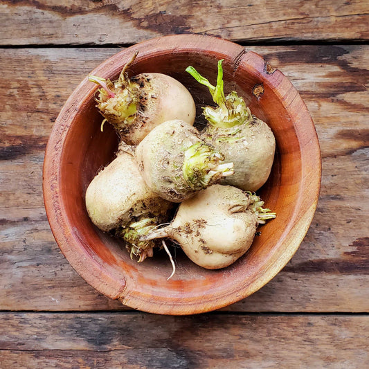 White beets-12 oz