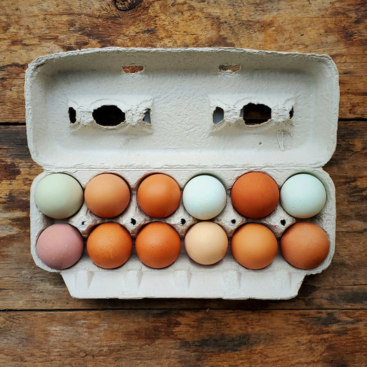 Chicken Eggs