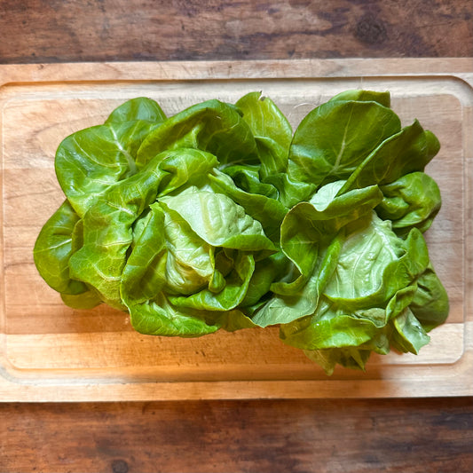 Hydro Butter Lettuce Head - Half Pound