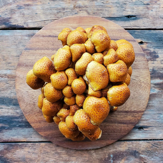 Chestnut Mushroom - 8 oz