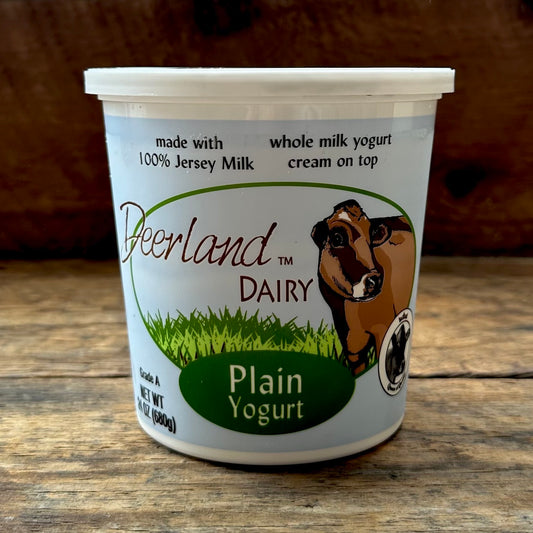 Plain Whole Milk Yogurt - 24 oz