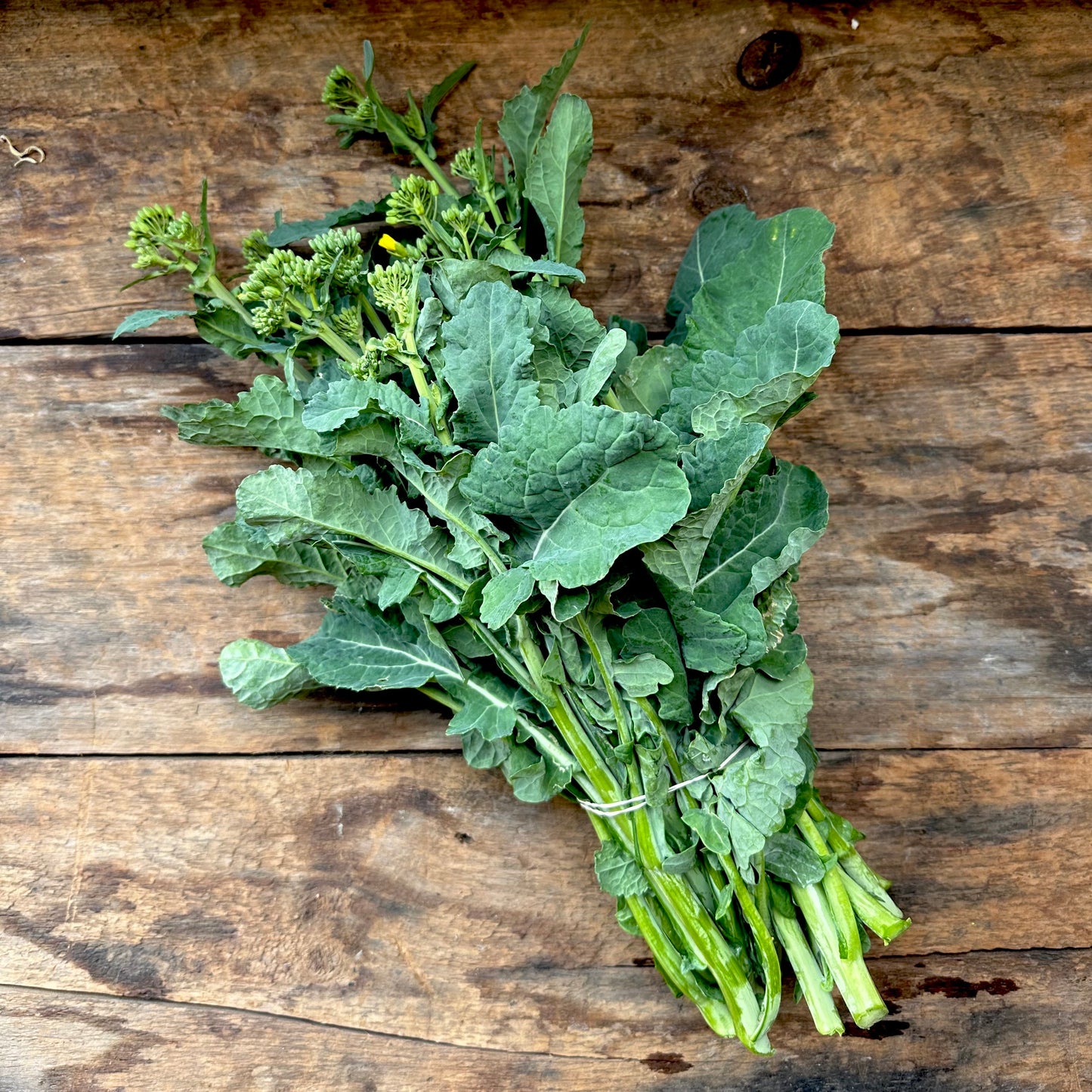 Broccoli Raab - 6 oz bunch