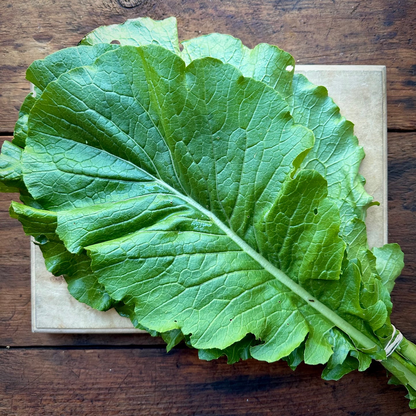 Broadleaf Mustard Greens - 6 oz