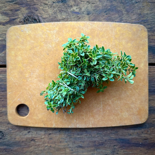 Lemon Thyme - .5 oz