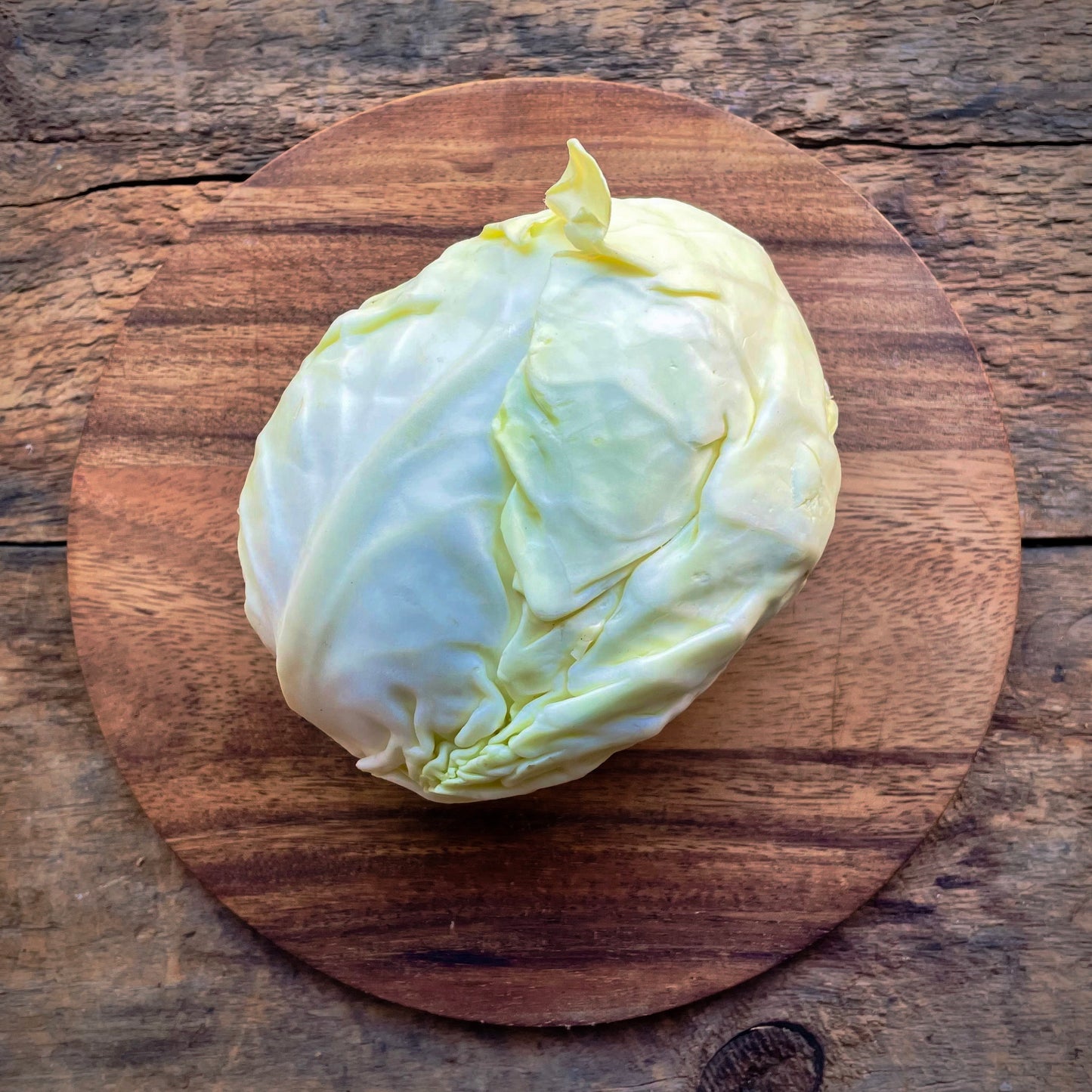 Farao Cabbage