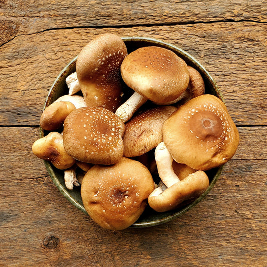 Shiitake Mushrooms - 8 oz