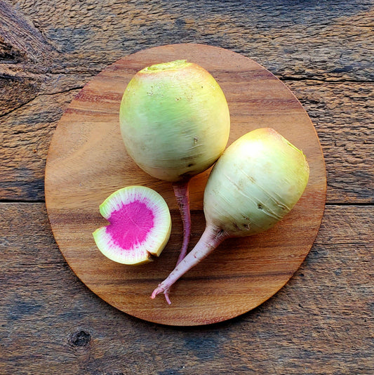 Watermelon Radishes