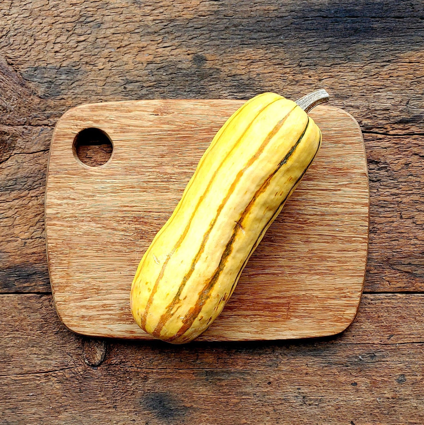 Delicata Squash