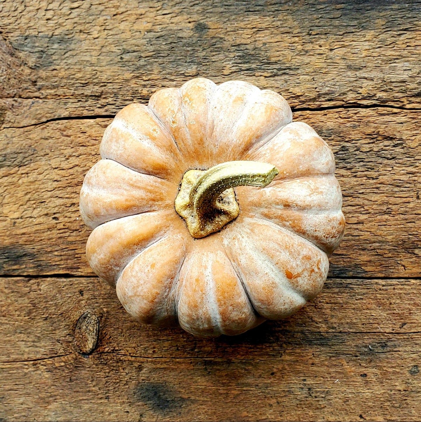 Koginut Squash