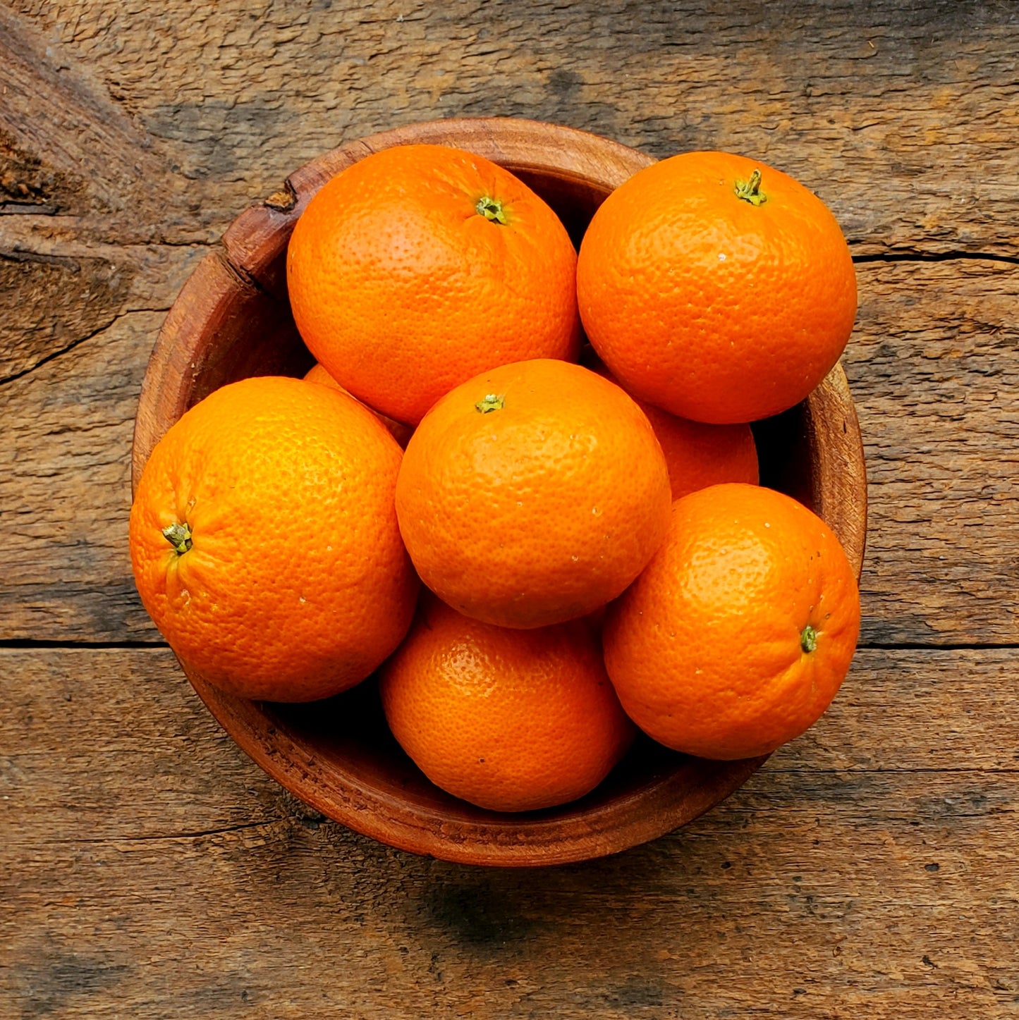 8 Murcott Mandarins