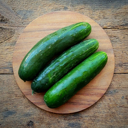 Slicing Cucumbers