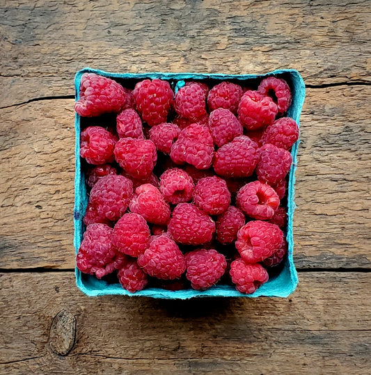 Raspberries - Pint