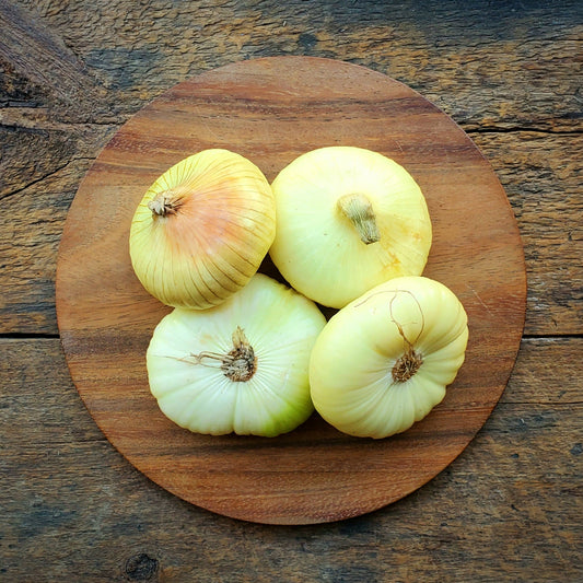 Cipollini Onions - 16 oz