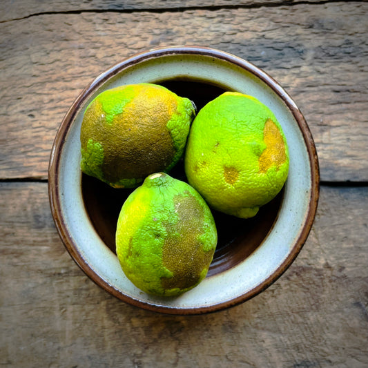 3 Mexican Lime Seconds