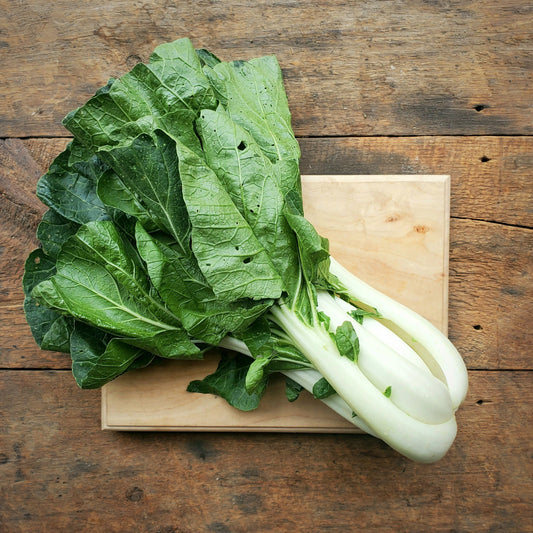 Pac Choi - 1.5 lbs